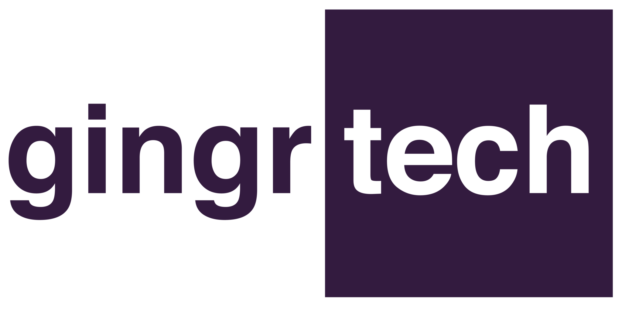 GingrTech